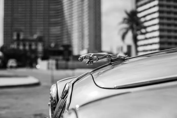 ポケットウィン カジノ Android/iOS アプリ