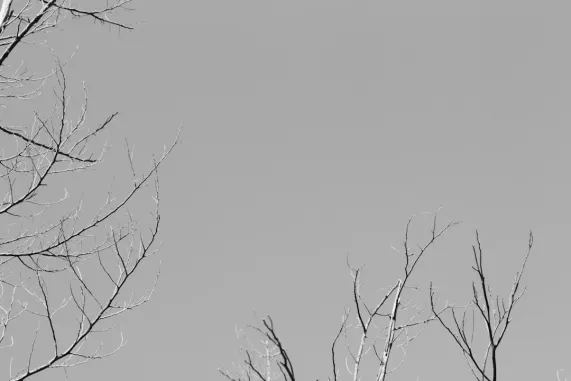 ポケットウィン カジノ サポート